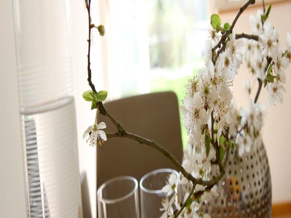 Boutique Hotel Villa Katharina Μπάμπεργκ Εξωτερικό φωτογραφία